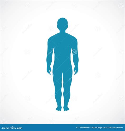 Human Body Silhouette Vector Icon Stock Vector - Illustration of length ...