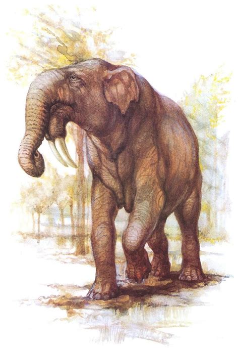 Deinotherium giganteum | Prehistoric animals, Extinct animals, Prehistoric wildlife
