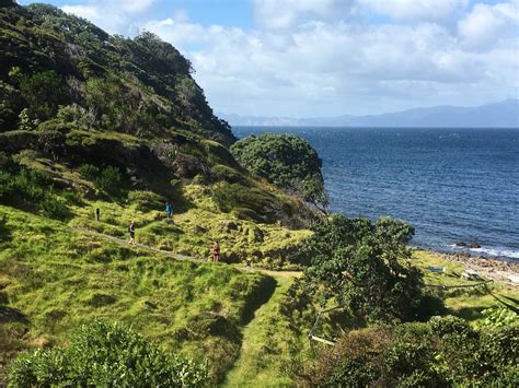 How To Visit Great Barrier Island - Walking Legends