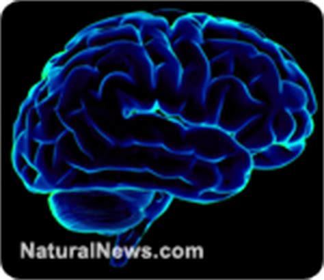 Improve memory loss by using natural alternatives - NaturalNews.com