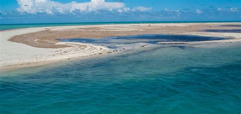 Djerba Beaches, Tunisia - Heroes Of Adventure