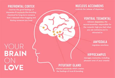 The Neuroscience of Moving On | the Urban Dater