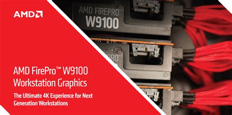 AMD Upgrades The FirePro W9100 Hawaii XT Graphics Card With 32 GB VRAM ...