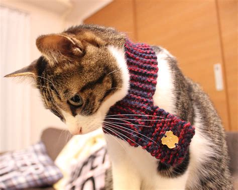 Neko Muffler - Knitted Cat Scarf