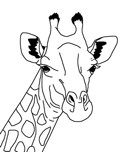 Giraffe Outline Illustration Free Stock Photo - Public Domain Pictures