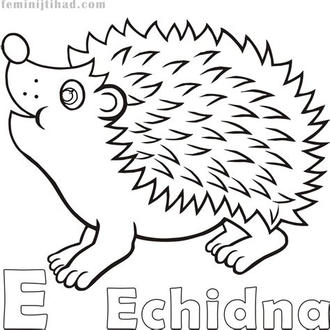 E for Echidna Coloring Pages PDF - Free Coloring Sheets | Animal ...