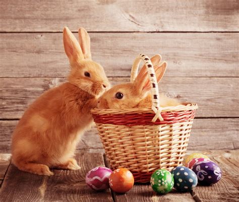 Mission Possible Blog : Bunnies, Baskets and Bulbs... What about Jesus?