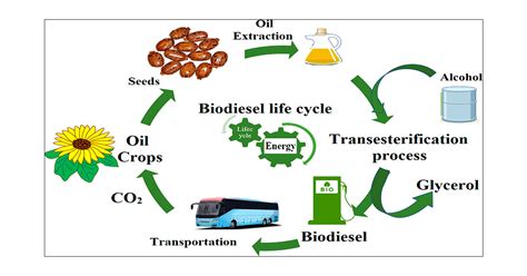 Life Cycle Assessment And Life Cycle Cost Analysis Of, 56% OFF