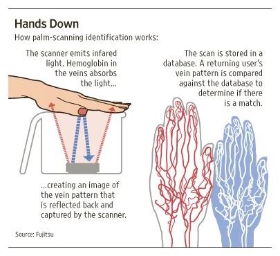 Palm Vein Recognition at best price in Mumbai by Infotronic ...