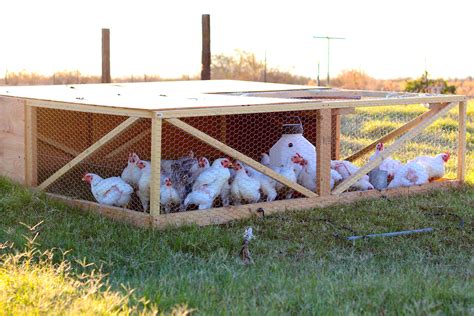 Chicken Tractor Designs