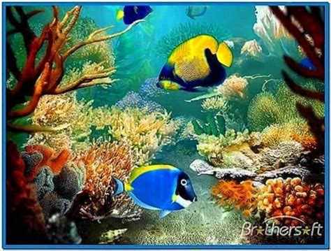 Tropical fish 3d screensaver - Download free