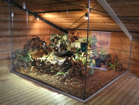 Pin by Jessica Nicholl on Tyrus | Reptile terrarium, Terrarium, Snake enclosure