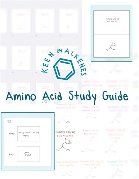 Amino Acid Flashcards and Study Sheet - Etsy