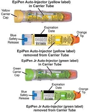 EpiPen and EpiPen Jr Auto-Injectors: Uses, Taking, Side Effects, Warnings - Medicine.com