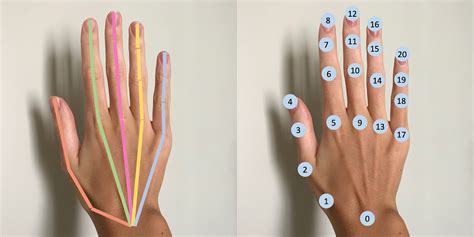 Gentle introduction to 2D Hand Pose Estimation: Approach Explained | by ...