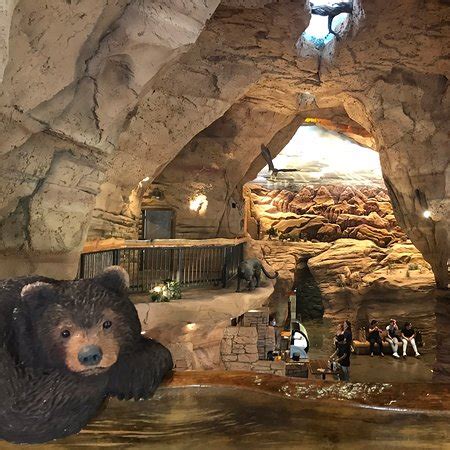 Bearizona Wildlife Park (Williams) - All You Need to Know BEFORE You Go - Updated 2020 (Williams ...