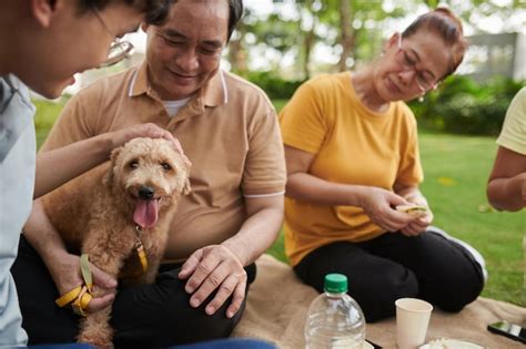 Premium Photo | Family playing with dog