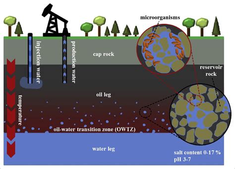 6 Best Reservoir Simulation Tool in 2020