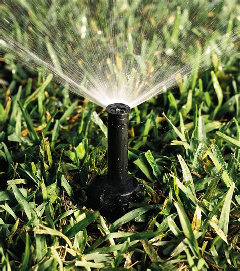 Lawn Sprinkler Head Spraying Water