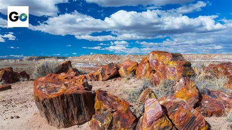 Petrified Forest National Park - YouTube