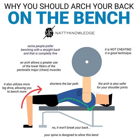 Is Arching Back During Bench Bad – Axis Decoration Ideas