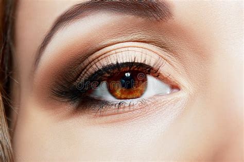 Macro eye stock image. Image of beauty, look, cosmetic - 50502193