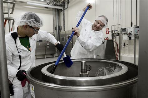 Dairy Factory Gears Up for Production - WSJ