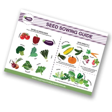 FREE DOWNLOAD - Seed Sowing Guide - My Productive Backyard