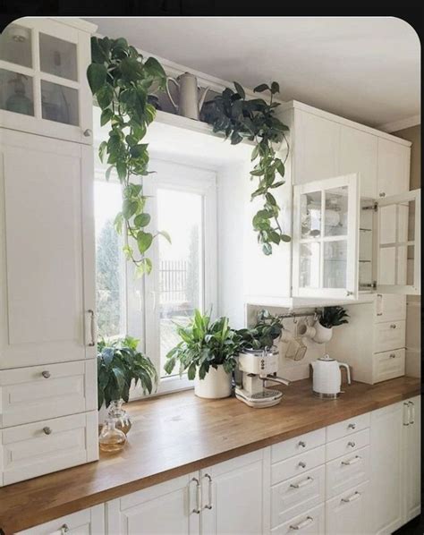 Awesome Kitchen Window Plant Decoration Ideas | Plants Shelves | Plant Decoration Ideas Kitchen ...