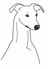 Whippet Clipart sketch template