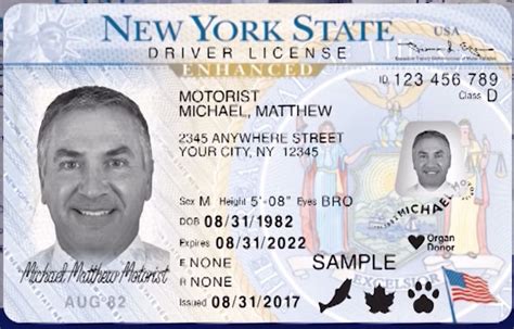 What is REAL ID? Enhanced driver’s license? What you need to know to travel next year - syracuse.com