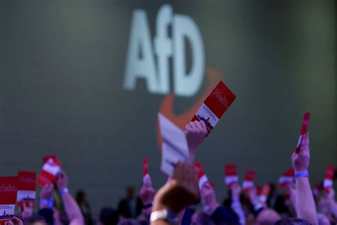 German far-right party draws backing from small group of Jews