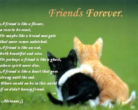 valentine's day poems for friends | Poems about friendship, friendship day and best friends on ...