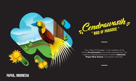 Indonesia "Bird Of Paradise" (part 1) on Behance