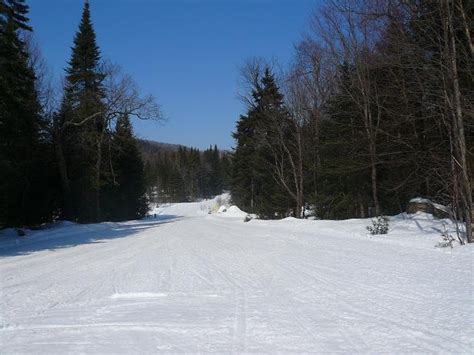 Snowmobile trail near Old Forge, NY | Adirondacks, Travel, I love ny