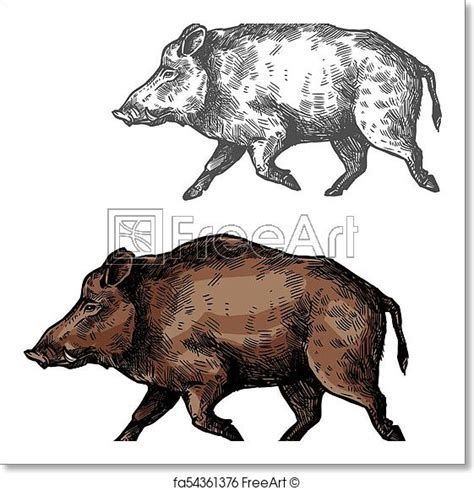 Wild Hog Sketch at PaintingValley.com | Explore collection of Wild Hog ...