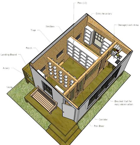 Not Found | Pigeon loft design, Pigeon loft, Racing pigeon lofts