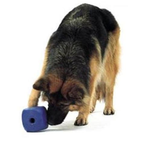 Toys For Blind Dogs - Caring for a Senior Dog