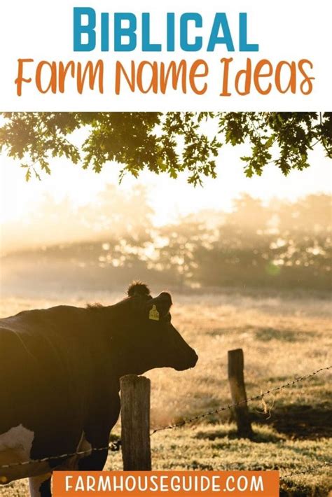 Biblical Farm Name Ideas + Ideas to Create Your Own - Farmhouse Guide