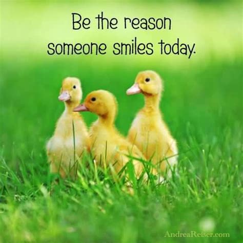 Be The Reason Someone Smiles Today Pictures, Photos, and Images for Facebook, Tumblr, Pinterest ...