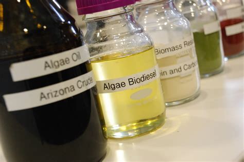 Researchers Experiment With Algae-Based Biofuel | Here & Now