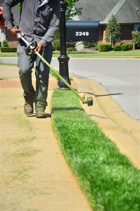 Lawn Edging | Lawn care, Lawn edging, Lawn