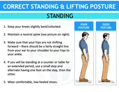 Posture & Lifting Guide | Sterner Physical Therapy