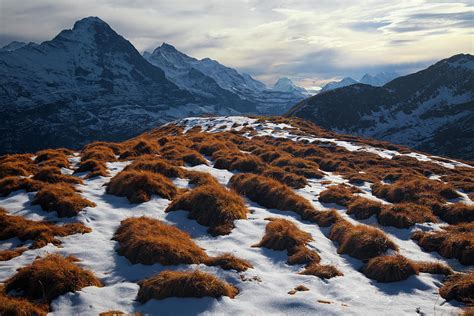 Bernese Alps Autumn by Lucynakoch