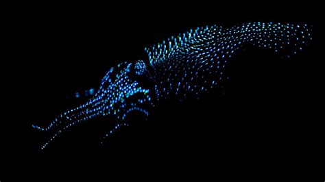 Bioluminescence - MARINE BIOCHEMISTRY