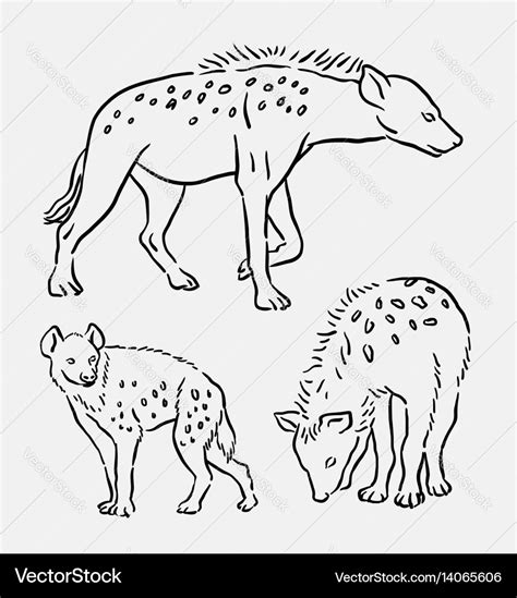 Hyena wild animal sketches Royalty Free Vector Image