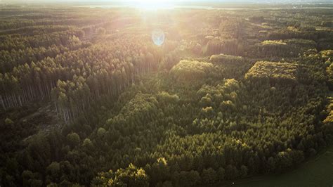 overview bavarian woods near munich on Behance