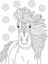 Amazing Horse Printable coloring Page  Download Print Or Color Online sketch template