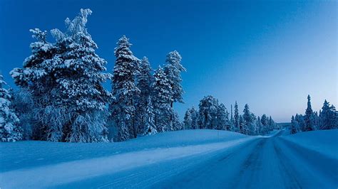 HD wallpaper: winter, blue, snow, sky, road, tree, blue landscape, blue hour | Wallpaper Flare