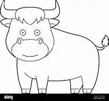 Easy coloring cartoon vector Illustration Of A Bull Stock Vector Image  sketch template